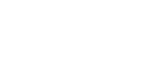 Drive For The Dream logo