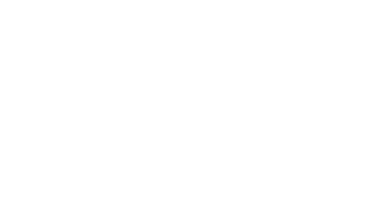 BridgePoint Air logo